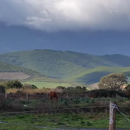 Restaurant Les Chasseurs *