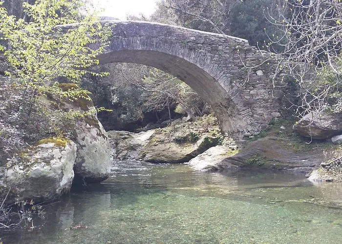 酒店 猎人餐厅酒店 *