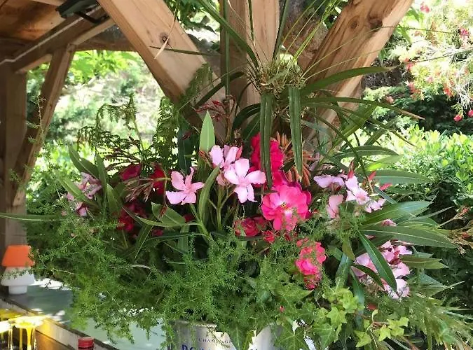 Restaurant Les Chasseurs Hotell Marine de Pietracorbara