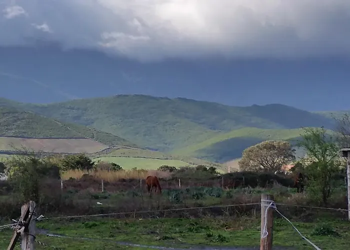 Restaurant Les Chasseurs *